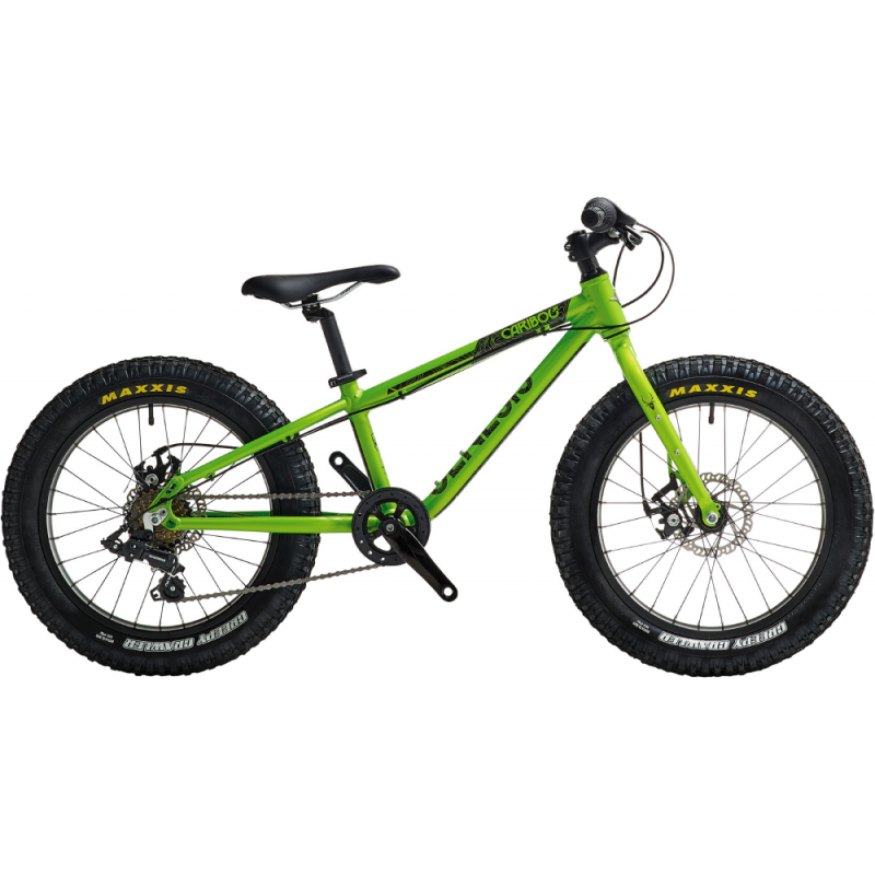 junior fat bike