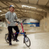 Brompton P Line Paris Edition X Kieran Reilly