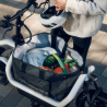 Vélo cargo électrique biporteur Riese und Muller Carrie Touring