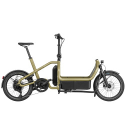 Vélo cargo électrique Riese & Müller Carrie Touring