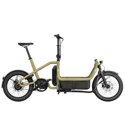 Vélo cargo électrique Riese & Müller Carrie Vario