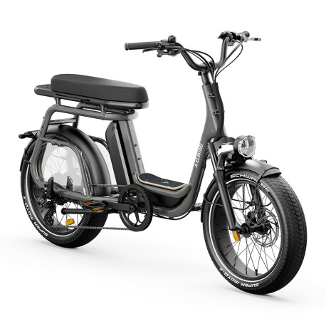 Vélo cargo électrique Elwing Ritmic Duo