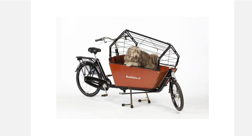 Porte chien pour vélo, remorque de vélo pour chien, charrette de